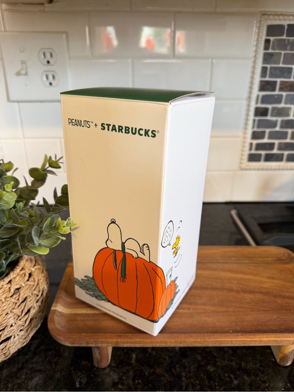 Starbucks X Peanuts Snoopy Stainless Steel Cold Cup NWT - Picture 5 of 5